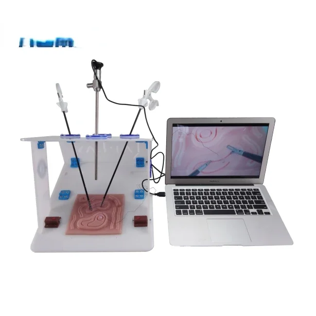 Laparoscopic Endo Trainer with - Woodworking Simulator recensione e prezzo