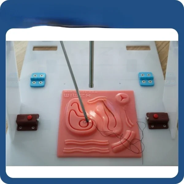 Laparoscopic Endo Trainer with - Woodworking Simulator recensione e prezzo