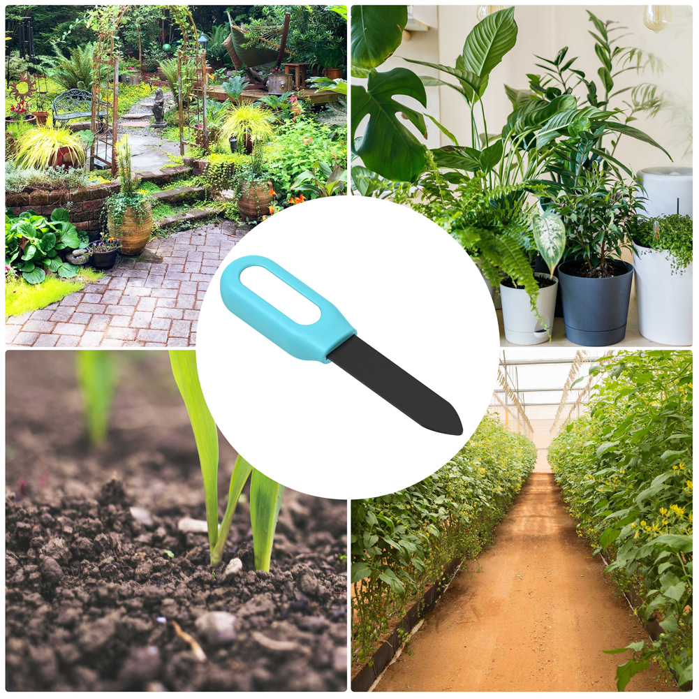 2 In 1 Soil Moisture Sensor BT - Woodworking App recensione e prezzo