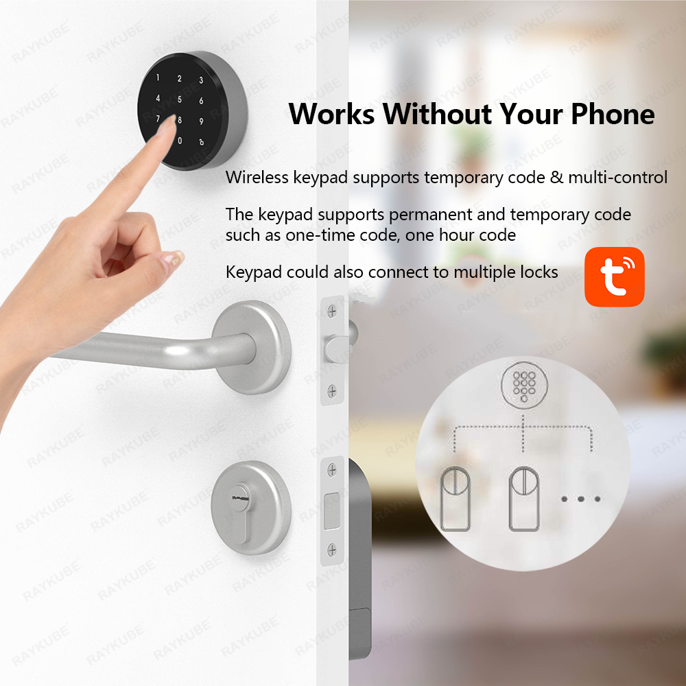 RAYKUBE A1 Pro Tuya BEL Smart  - Woodworking App recensione e prezzo